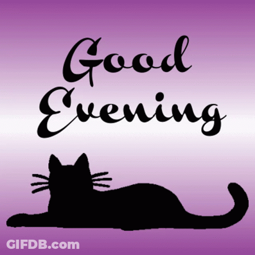 Good Evening Text And Black Cat Silhouette GIF