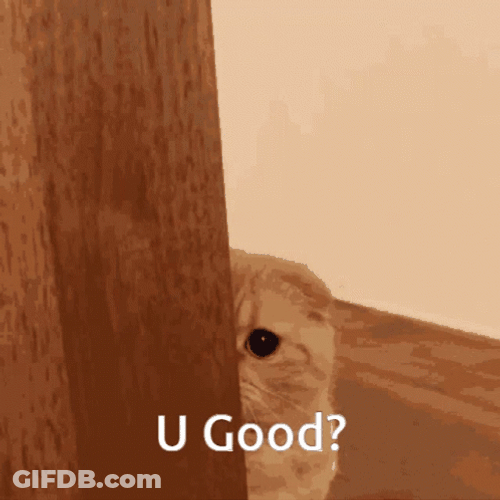 Good For You Cat Sneak GIF