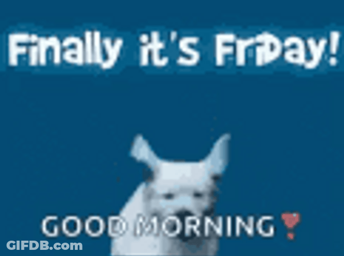 Good Friday Morning Hopping Puppy Excited GIF