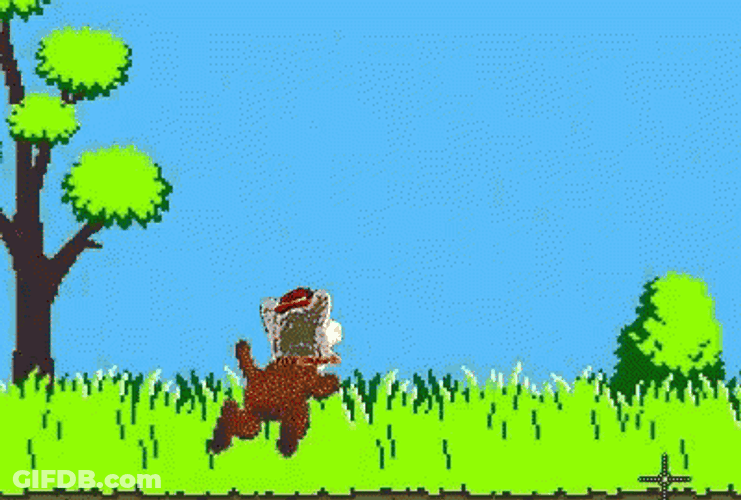 Good Game Duck Hunt Meme GIF