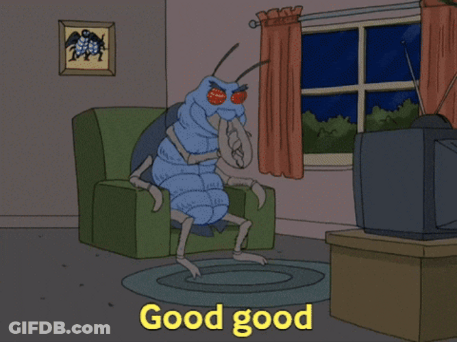 Good God Scary Arsonist Beetle GIF