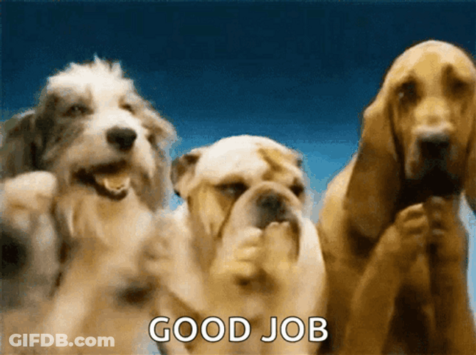 Good Job Meme Clapping Dogs GIF