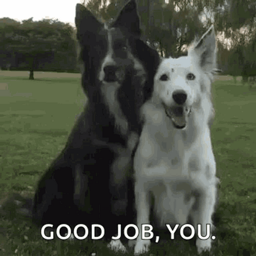 Good Job You GIF