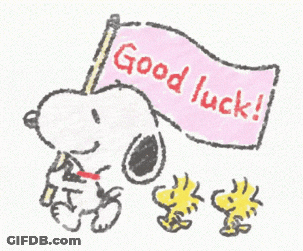 Good Luck Snoopy And Woodstock GIF