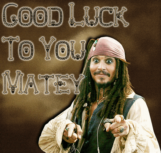 Good Luck To You Matey GIF