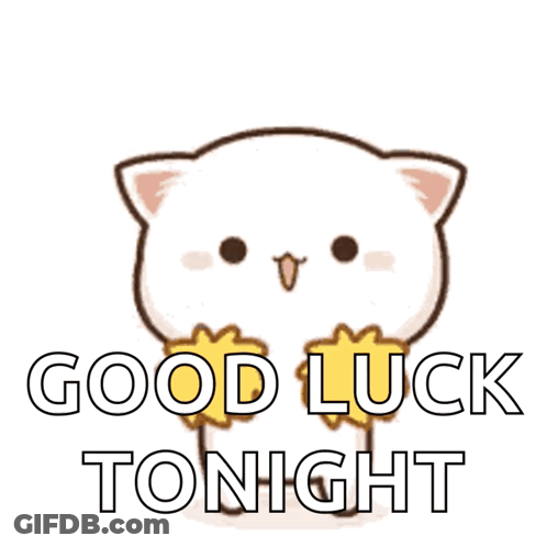 Good Luck Tonight Sticker With White Cat GIF
