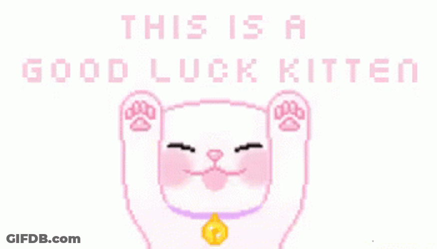 Good Luck White Kitten GIF