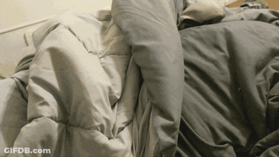 Good Monday Doggo GIF