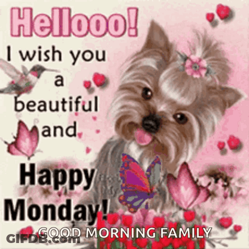Good Monday Morning Beautiful Dog GIF