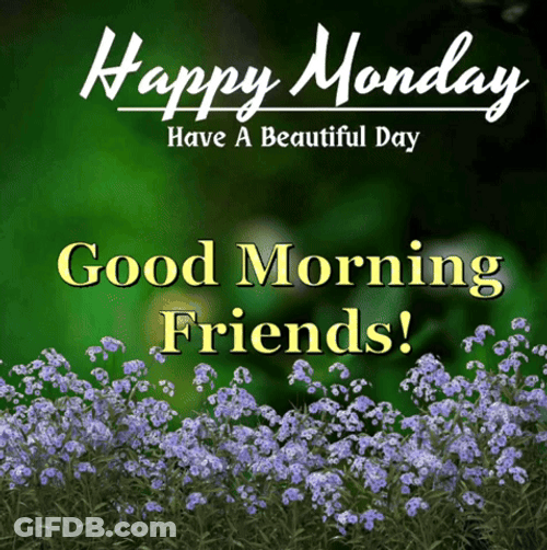 Good Monday Morning Lavender Plant GIF
