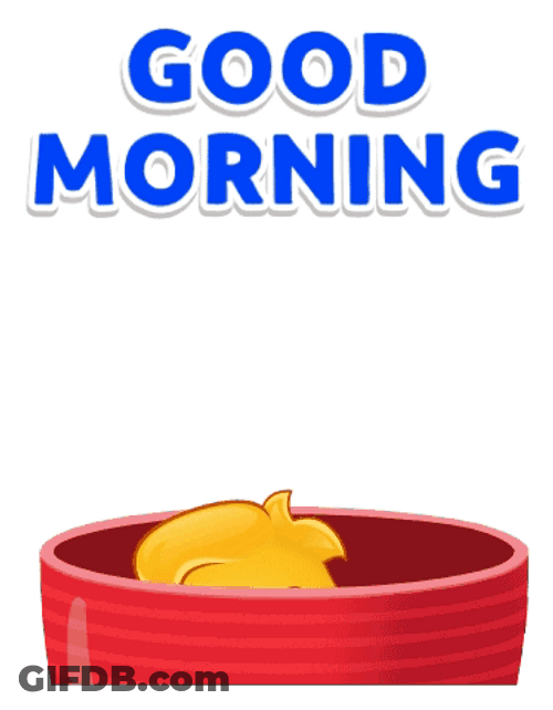 Good Monday Morning Lucas Starting Day GIF