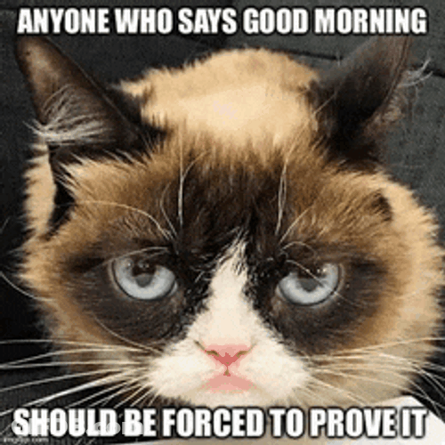 Good Morning 2024 Meme GIF