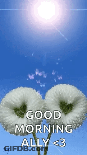 Good Morning Ally Greeting Card With White Flowers And Butterflies GIF