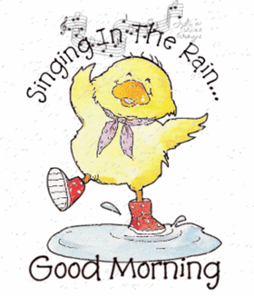 Good Morning Animated Duck GIF