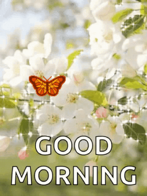 Good Morning Animated Flying Butterfly GIF