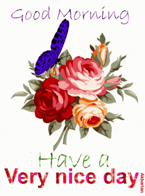 Good Morning Animated Greeting Card GIF