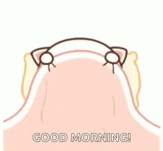 Good Morning Animated Peeking Kitty GIF