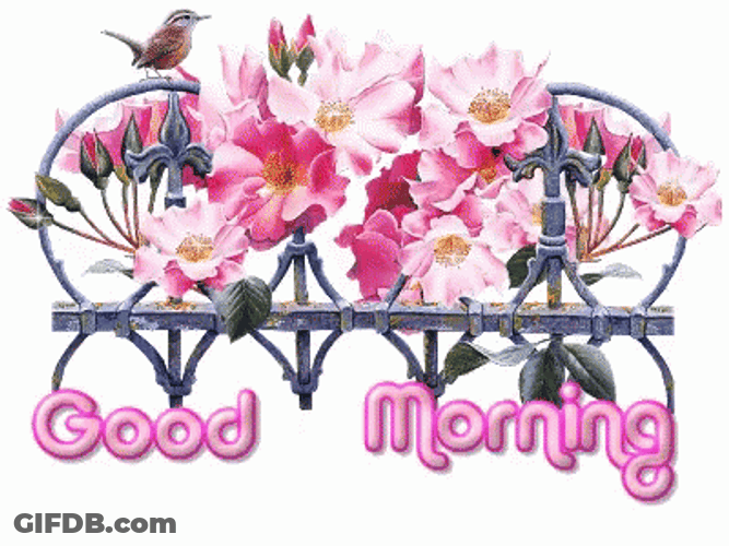 Good Morning Animated Pink Flowers GIF
