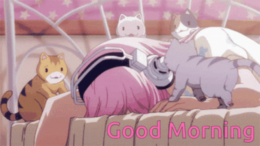 Good Morning Anime Cats Waking Up Alert GIF