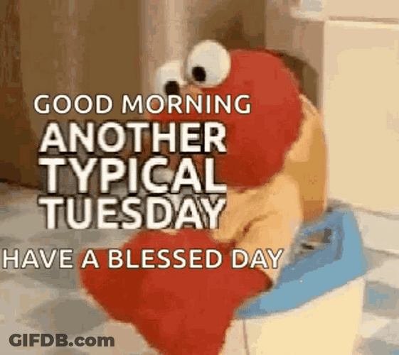 Good Morning Another Typical Tuesday GIF