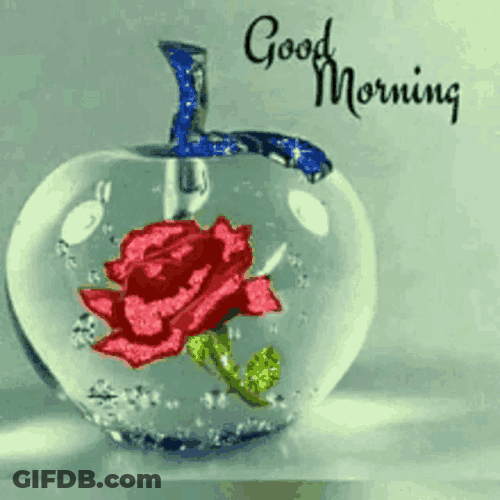 Good Morning Apple GIF