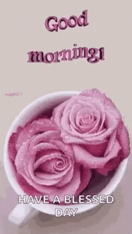 Good Morning August Cup Of Flowers GIF