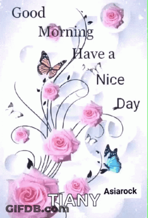 Good Morning August Nice Day GIF