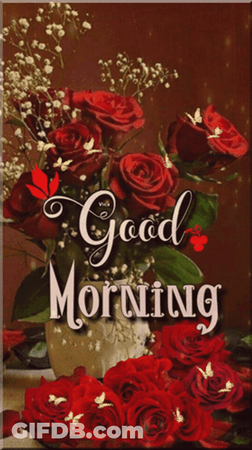 Good Morning August Red Roses GIF