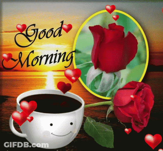Good Morning August Smiling Cup GIF