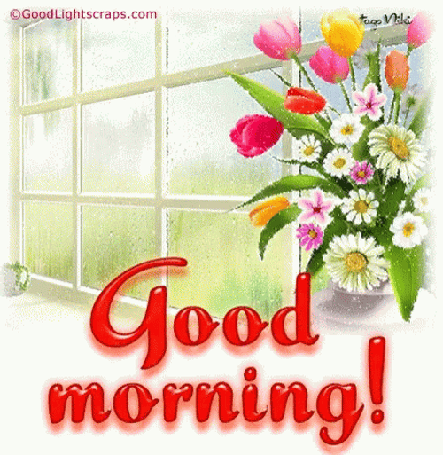 Good Morning August Vase At The Window GIF