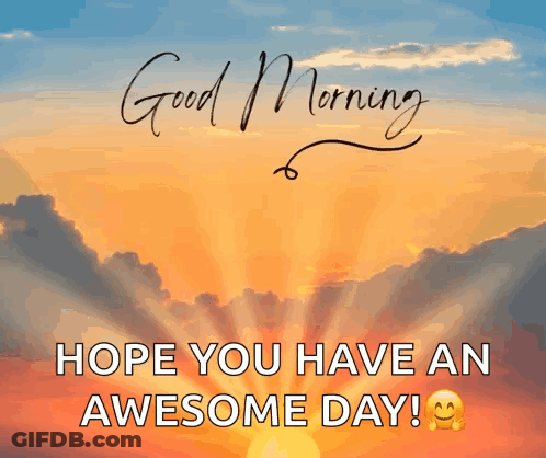 Good Morning Awesome Day GIF