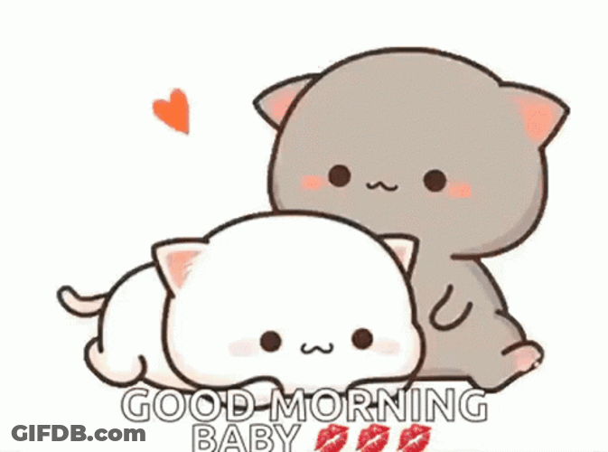Good Morning Baby Cats Sweetly Kissing GIF