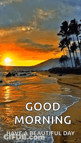 Good Morning Beach Sunset GIF