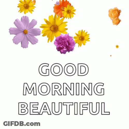Good Morning Beautiful Card With Flowers GIF