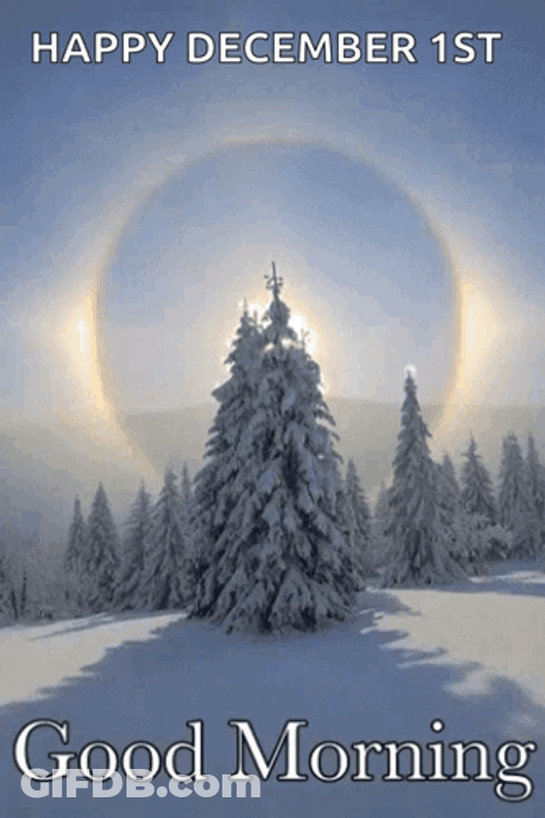 Good Morning Beautiful December Day GIF