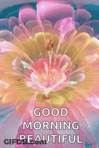 Good Morning Beautiful Flower GIF
