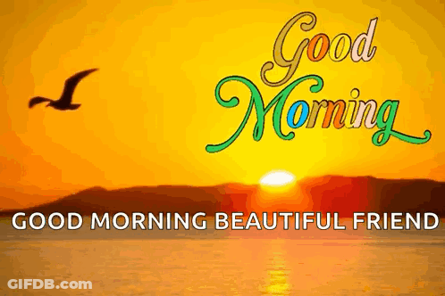 Good Morning Beautiful Friend With Bird Over Ocean GIF