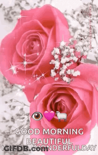Good Morning Beautiful Have A Wonderful Day With Pink Roses And A Sheep GIF