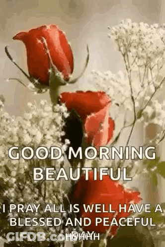 Good Morning Beautiful , I Pray All Is Well , Have A Blessed And Peaceful Day . GIF