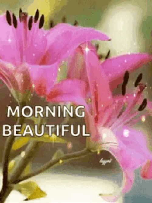 Good Morning Beautiful Sparkling Lily Flowers GIF