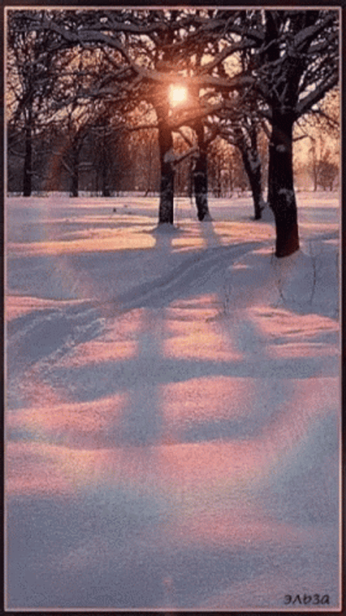 Good Morning Beautiful Winter Solstice GIF