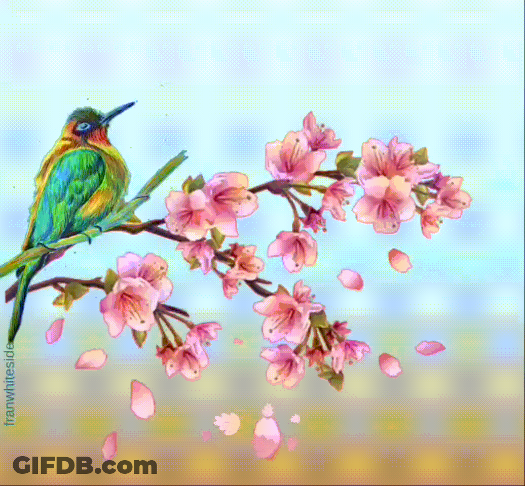 Good Morning Bird In Cherry Tree GIF