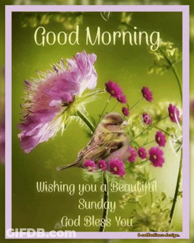 Good Morning Bird On Flower GIF