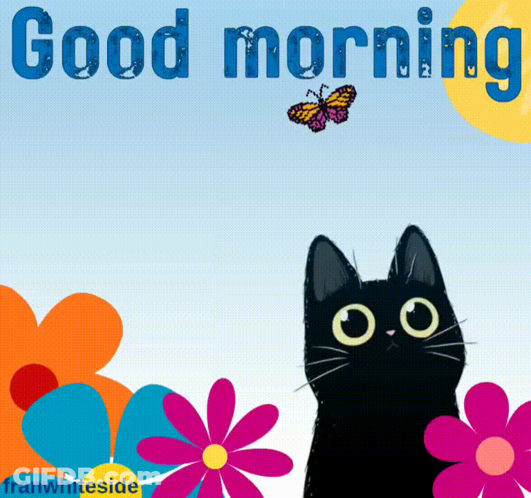 Good Morning Black Kitten In Garden GIF