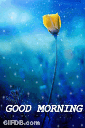 Good Morning Blessed Day GIF
