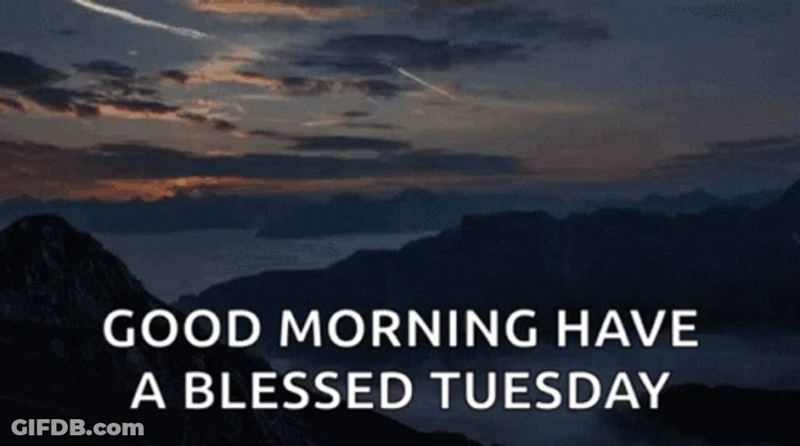Good Morning Blessed Tuesday GIF