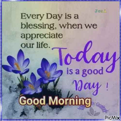 Good Morning Blessing Purple Flower GIF
