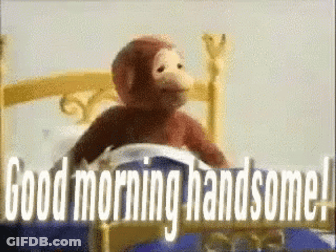 Good Morning Brother George Monkey In Bed GIF