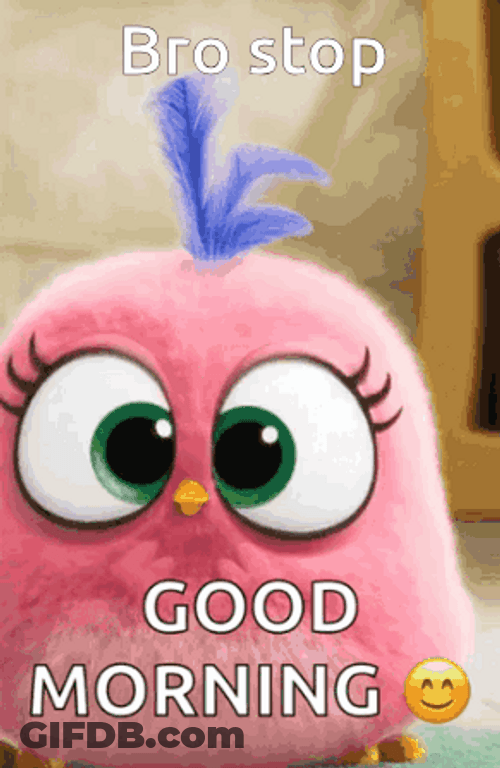 Good Morning Brother Pink Angry Bird Spinning GIF