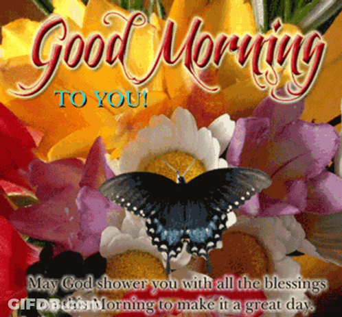 Good Morning Butterfly Card GIF